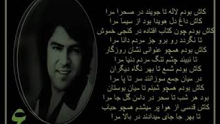 احمد ظاهر، کاش بودم لاله تا جویند در صحرا مرا | Ahmad Zahir, Afghani song