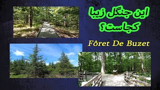 Fôret De Buzet جنگل بسیار زیبا در جنوب فرانسه Forest of Buzet Natural site in France Voyage