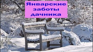 Январские заботы дачника. Сад и огород выпуск 202