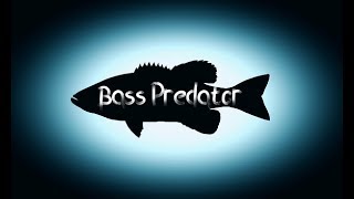 Bass Predator