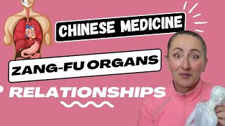 The Yin & Yang Organs Relationships in Chinese Medicine (Zang Fu)