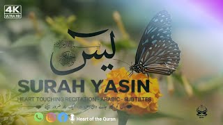 Most beautiful recitation of Surah Yaseen (Yasin) سورة يسin❤️ beautiful voice