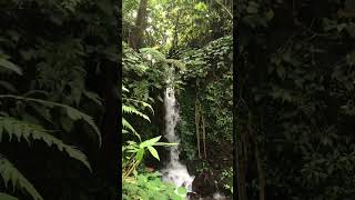 Curug Cipadayungan #curugcipadayungansumedang #wisatasumedang  #hayuhealingbarudak