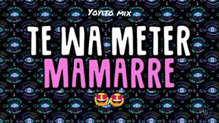 TE WA METER MAMARRE / yoyito mix