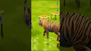 Tiger Crossing Fountain Animal Game Choose The Right Key Funny #animalgame #tiger #funny #cartoon