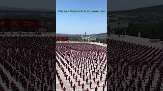 Chinese martial arts in perfection