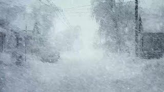 Winter Snowstorm & Wind Sounds for Sleeping At A Small Street In America┇Howling Wind & Blowing Snow