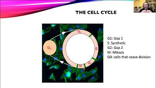 OpenFlow: DNA Analysis by Flow Cytometry