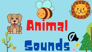 10 Animal Names And Sounds | 10 Animal Sounds For Toddlers | Animal Sounds And Names For Children