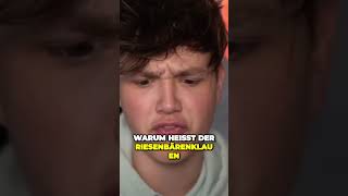 HeyMoritz TikTok Reaktion #HeyMoritz #noeldederichs916star #tiktok #reaktion #reaction #funny