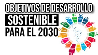 Qué son los Objetivos de Desarrollo Sostenible (SDGs)