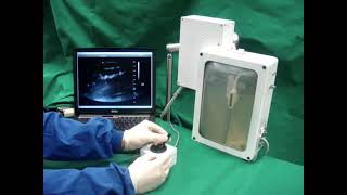 Robot Assisted Intraoperative Ultrasound (2010)