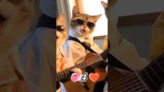 لو خيروك 😍#ytshorts #trending #cutecats #cat #animals #catlover