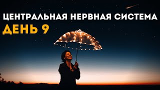 ДЕНЬ: 9 | Здоровая Центральная Нервная Система - КУРС ОЗДОРОВЛЕНИЯ | САБЛИМИНАЛЫ