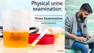 Physical Urine Examination in hindi #Technicianstudy