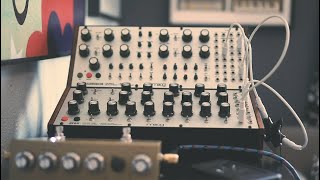 Moog Subharmonicon & BFAM // ambient