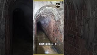 Beneath Columbia University: Unveiling the Mysterious Tunnels! 🏫🕵️‍♂️  #history #rightnow #checkout