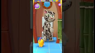 talking tom funniest moments🤣🤣#talkingtom #animation #cartoon #animals #cats #magician #shorts