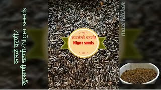 कारळेची चटणी/Niger seeds chutney