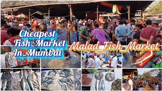 Malad wholesale & Cheapest Fish Market  मालाड मच्छी मार्केट