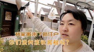 我家搬来了新住户，全凭自己筑巢，鸟类世界的建筑大师，你们说我该收房租吗？German gardens come bird|Are you saying I should pay rent?