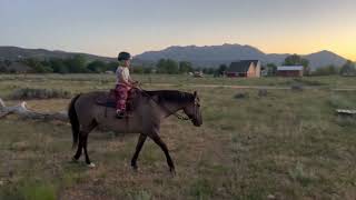 Boys Just Riding Their Horses On The Farm