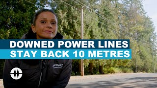 How Far To Stay Back From A Downed Power Line | Winter Safety