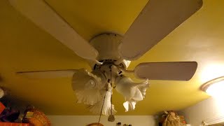 11 years later! Update on ceiling fans in my parents house!