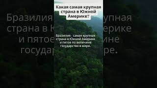 Какая самая крупная страна в Южной Америке?