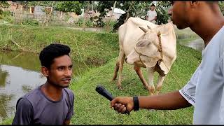 গরু ব্যবসায়ী আটক,😄😄 | comedy video funny laugh entertainment full video New comedy video