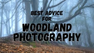 My BEST advice for WOODLAND PHOTOGRAPHY