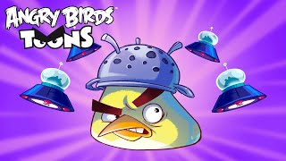 Angry Birds Toons Season 3 | Ep. 16 to 20