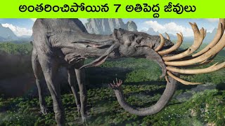 Top 7 biggest Extinct animals | creatures before dinosaurs | interesting facts in Telugu | bmc facts