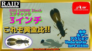 【水中動画】【EGU CHUNK 3inch】シンカーフリーのテキサスリグがフリーリグ～スト～ズル引き…万能過ぎた！！　レイドジャパン　エグチャンク3インチ　えぐちゃんく