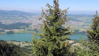 Mont Bifé, randonnée d'été en dessus de Cerniat dans le canton de Fribourg