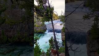 😍😍😍😍#trending #shortsviralvideo #youtubeshorts #shortsvideo #nature  #yellowstonenationalpark