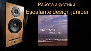 Работа акустики Escalante design juniper музыка Shape of My Heart · Novecento · Dominic Miller