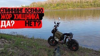 Осень Жор Хищника Рыбалка на Спиннинг р.Белая