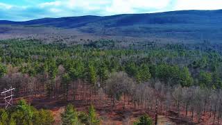 A journey over trees in Feb 4K Drone