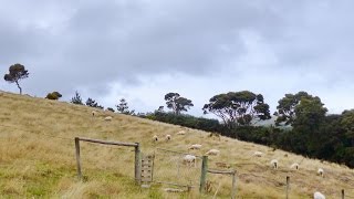 Cozy, Peaceful & Unique Experience in McFarmers Backpackers Lodge