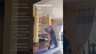 Триконасана. #chill #music #shortvideo #йогадлявсех #йогаупражнения #shorts #short