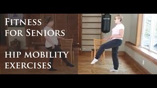 Senior Workout Routines - Hip Mobility Exercises and Cardio Exercises for Seniors