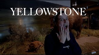 YELLOWSTONE NATIONAL PARK IN MAY | Trying Chicken Alfredo at Pizza Hut | Travel Vlog