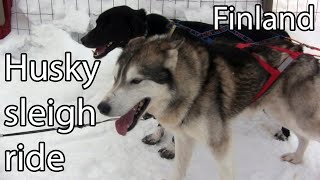 Husky Sleigh Riding in Lapland, Finland