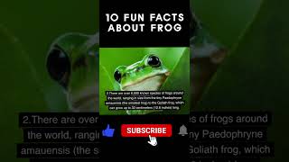 10 Fun Facts About Frogs #shorts