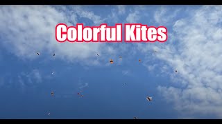 Colorful Kites in Sanur's Padang Galak Festival #bali #sanur