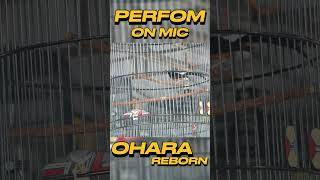 #shorts Perfom ON MIC Ohara Reborn