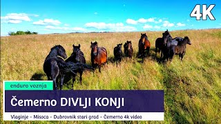 Divlji konji Čemerno voznja motorom Vlahinje Stari grad Dubrovnik  - Nasiči - Čemerno 27. juli 2023.