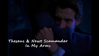 Theseus & Newt Scamander - In My Arms (Spoilers!)