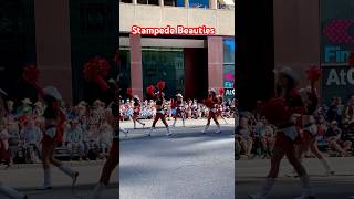 Parade’s beauties. Calgary Stampede 2024 Parade. #calgary #stampede #parade #beauty